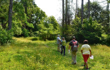 Cove adventure tours2