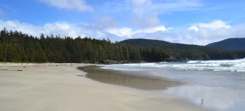 Small Group San Josef Bay Sea Stacks & Tidal Pools Tour