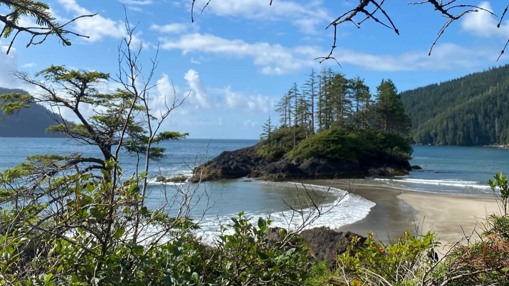 Cove adventure tours