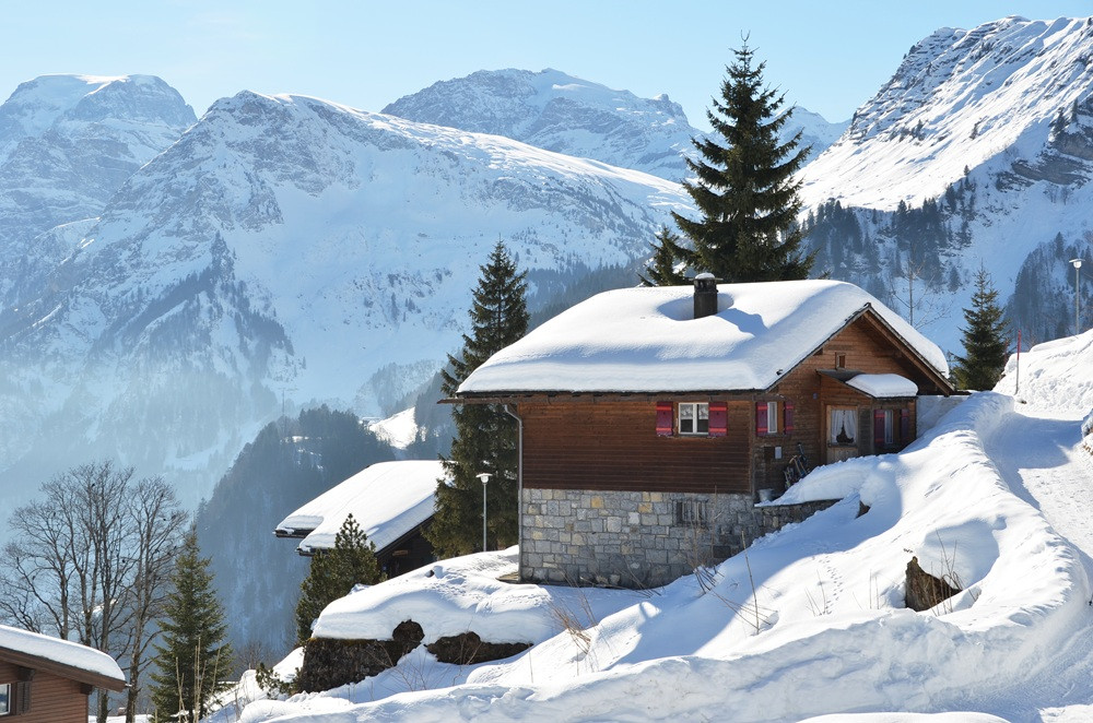 Winter Horse Carriage Experience from Zurich or Lucerne