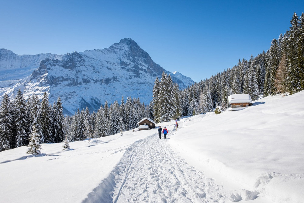 Hike Above Lake Lucerne with Fondue Dinner from Zurich or Lucerne