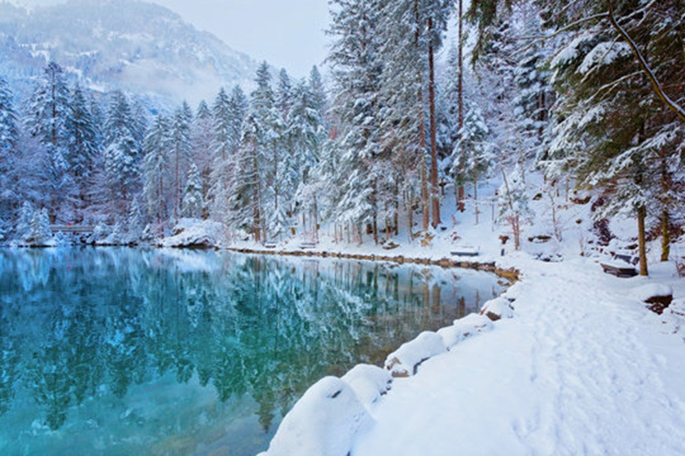 Bernese Oberland Winter Edition from Zurich or Lucerne