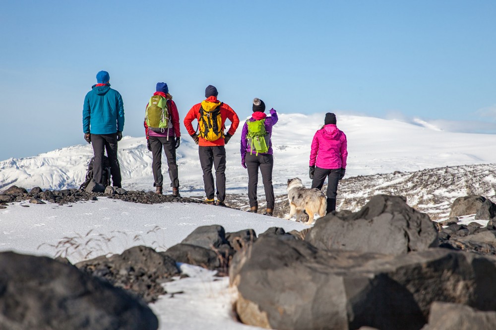 Glacier Panorama Trail