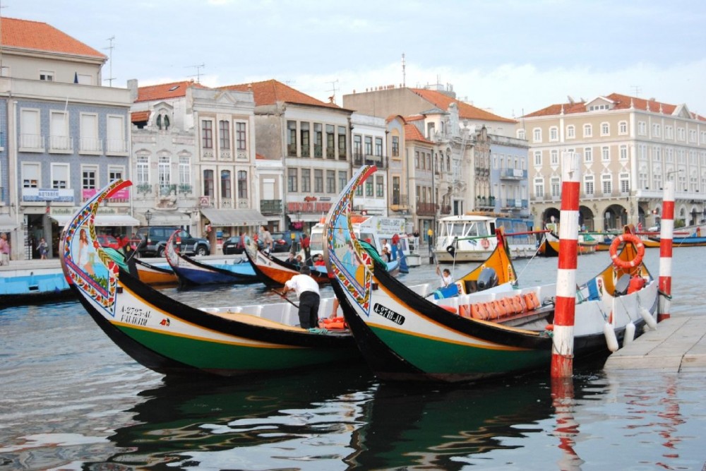 Coimbra & Aveiro: Private Tour - Braga | Project Expedition