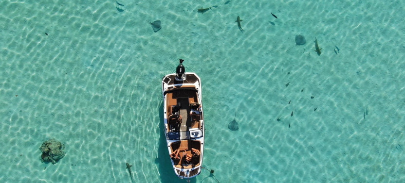 Half Day Small Group Moorea Lagoon Wildlife & Motu Escape Tour