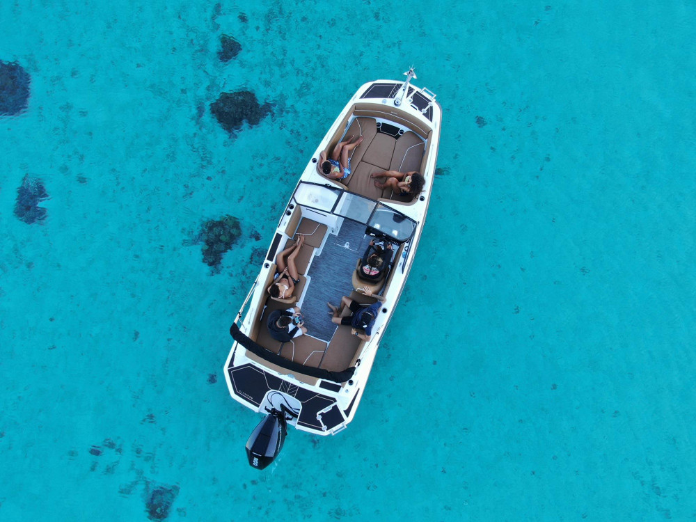 Half Day Small Group Moorea Lagoon Wildlife & Motu Escape Tour