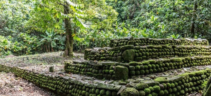 Private Half-Day Hiking Adventure in Moorea’s Opunohu Valley