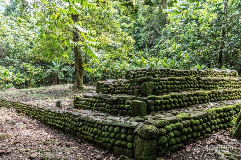 Private Half-Day Hiking Adventure in Moorea’s Opunohu Valley