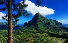 Mana Moorea Tours5