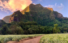 Mana Moorea Tours4
