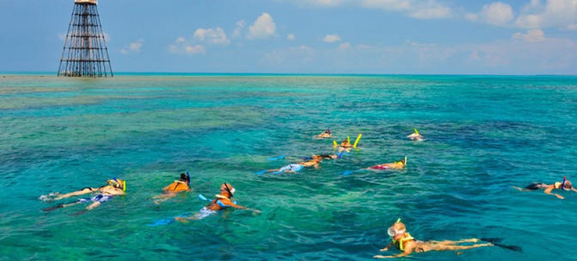 Floridays Snorkel Adventure