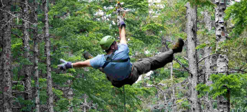 Grizzly Falls Ziplining Expedition