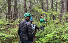 Alaska Excursions Inc. / Alaska X4