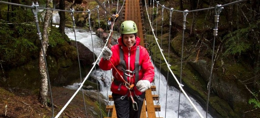Grizzly Falls Ziplining Expedition
