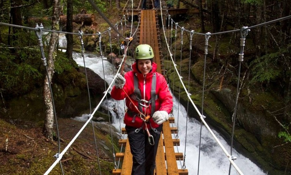 Grizzly Falls Ziplining Expedition