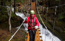 Alaska Excursions Inc. / Alaska X1