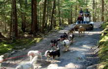 Alaska Excursions Inc. / Alaska X1