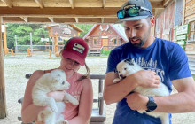 Alaska Excursions Inc. / Alaska X3