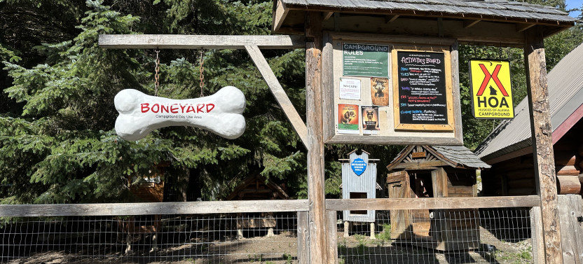 Musher's Camp and Gold Panning Adventure