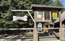 Alaska Excursions Inc. / Alaska X2