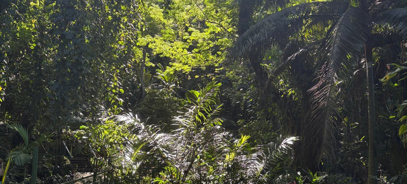 Discover Nadi Small Group Tour