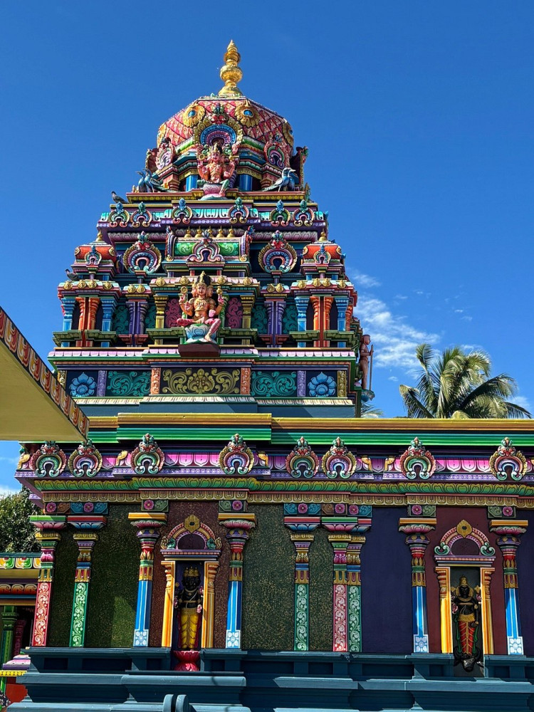 Denarau Shore Excursion: Temple, Shopping, Market, Garden & Mud Pool