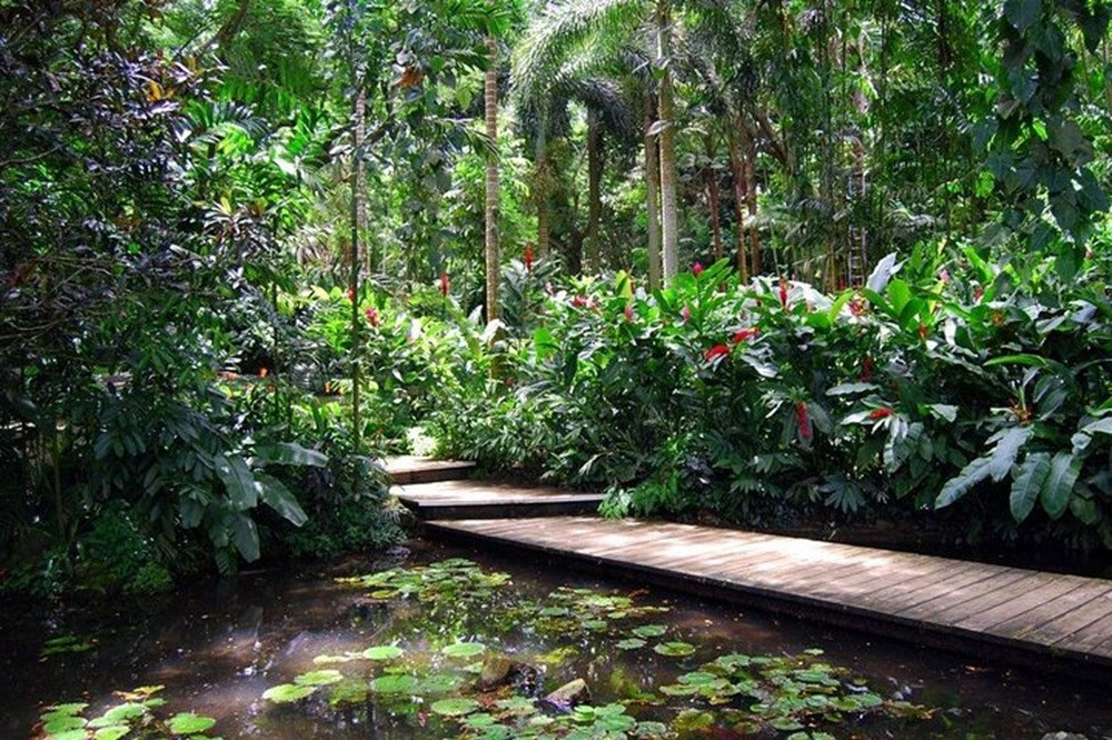 Private Lautoka Shore Excursion Including Viseisei Village