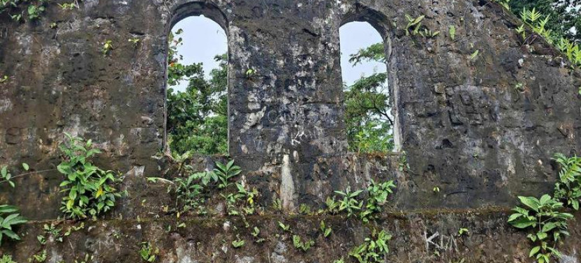 North Savaii Day Trip Adventure