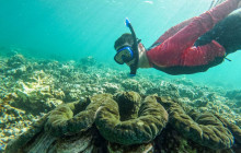 Tai's Native Experience - Samoa2