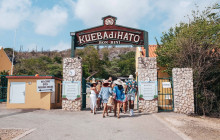 Irie Tours Bus Trips8