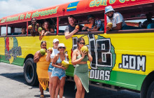 Irie Tours Bus Trips6