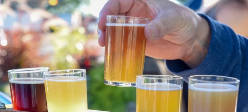 Wine, Beer & Charcuterie in Niagara-On-The-Lake