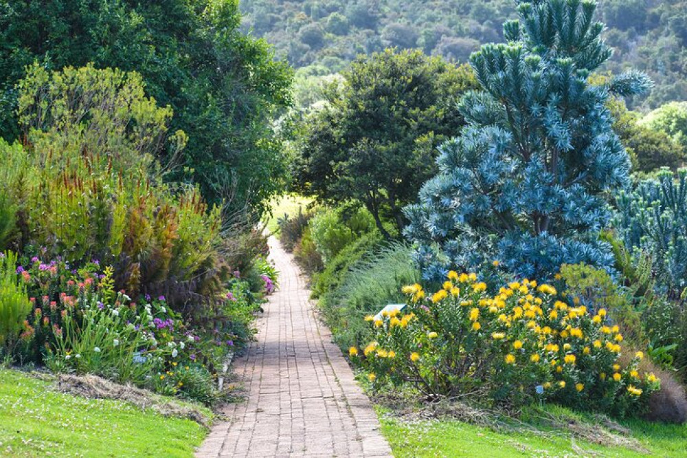 Cape Archives Tours and Safaris