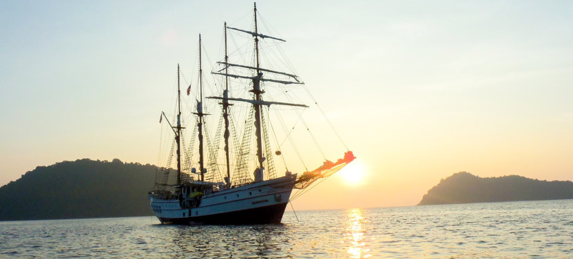 Royal Albatross Sunset Dinner Cruise