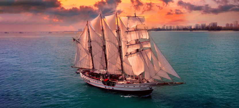 Royal Albatross Sunset Dinner Cruise