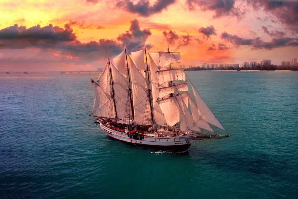 Royal Albatross Sunset Dinner Cruise