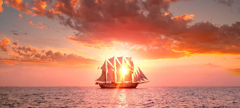 Royal Albatross Sunset Dinner Cruise