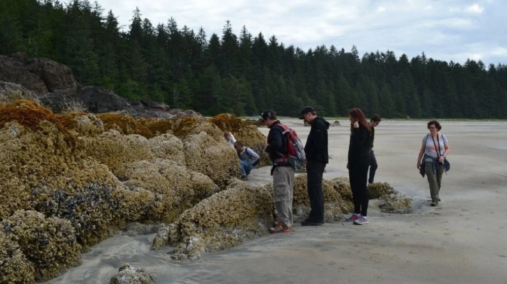 Cove adventure tours