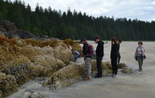 Cove adventure tours8