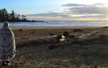 Cove adventure tours6