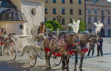 Krakow Tour Guide5