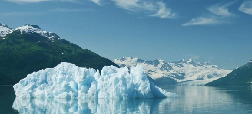26 Glacier Cruise in Prince William Sound