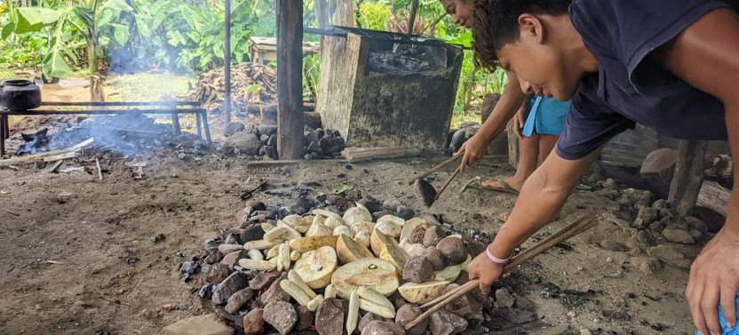 Namua Turtle Island and Eastern Upolu Tour