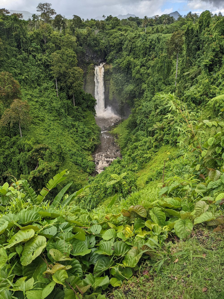 Namua Turtle Island and Eastern Upolu Tour