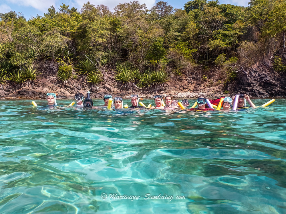 Small Group Coral Reef Snorkeling with Expert Guide in Martinique