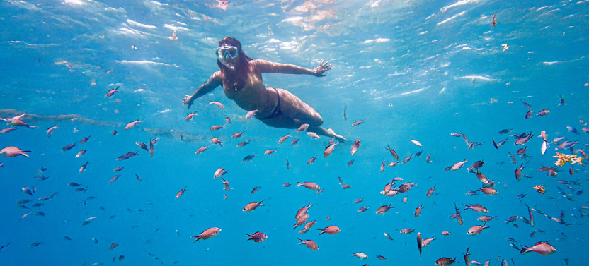 Small Group Coral Reef Snorkeling with Expert Guide in Martinique