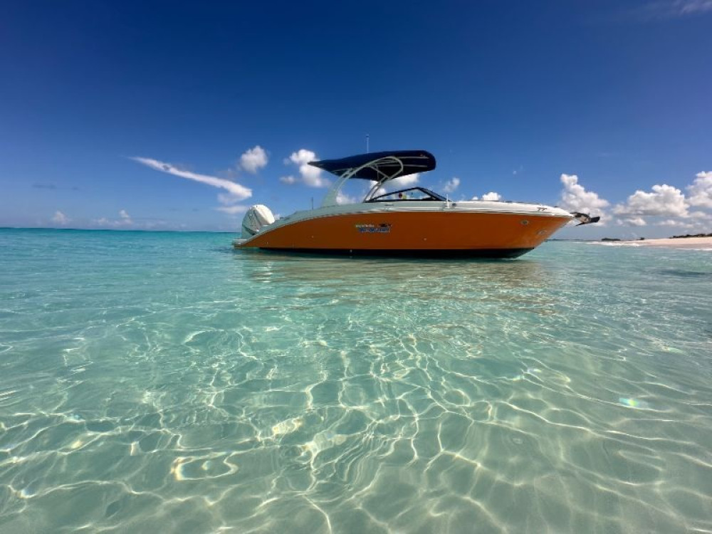 Private Half Day Sea Ray Boat Charter with Snorkelling and Lunch
