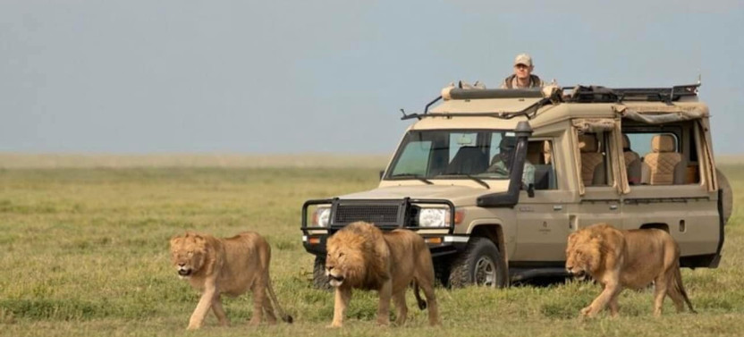 3 Days Maasai Mara Group Safari from Nairobi – All-Inclusive