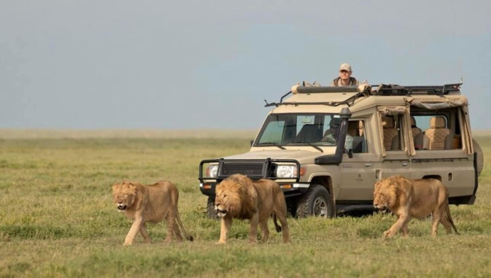 3 Days Maasai Mara Group Safari from Nairobi – All-Inclusive