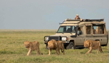 A picture of 3 Days Maasai Mara Group Safari from Nairobi – All-Inclusive